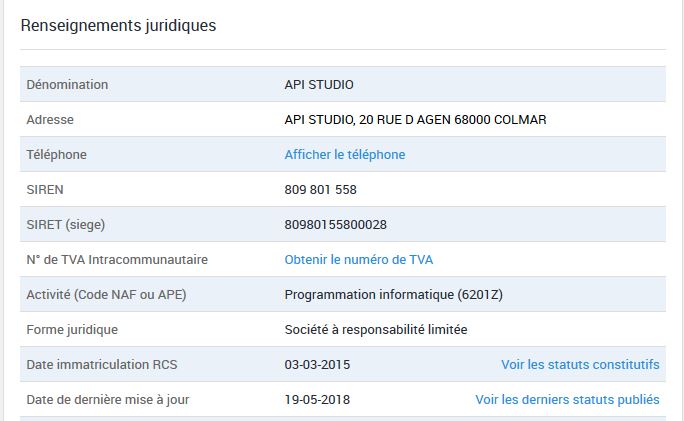 exemple societe.com