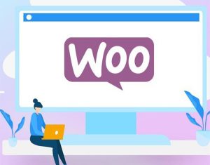 Optimiser référencement woocommerce|Balises de référencement module seopress|Texte alternatif d'une image sur WordPress|Outil pour compresser les images|indexation moteurs de recherche wordpress|woocommerce seo|Référencement woocommerce