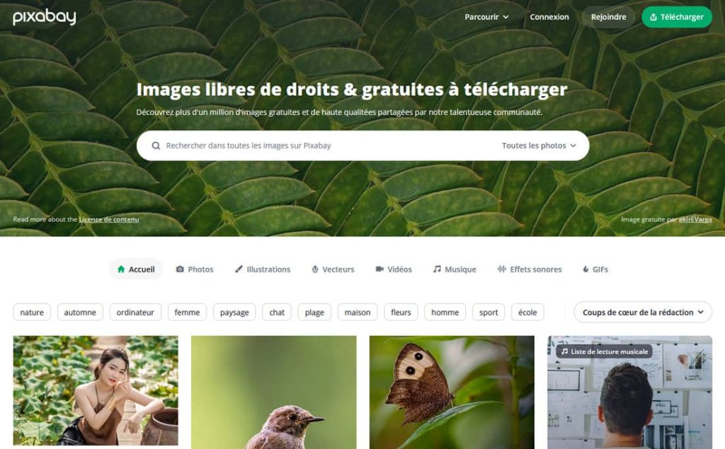 Capture d'écran du site web Pixabay